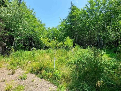 75 Evanston Rd, Cleveland, NS 