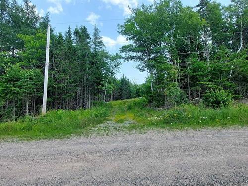 75 Evanston Rd, Cleveland, NS 