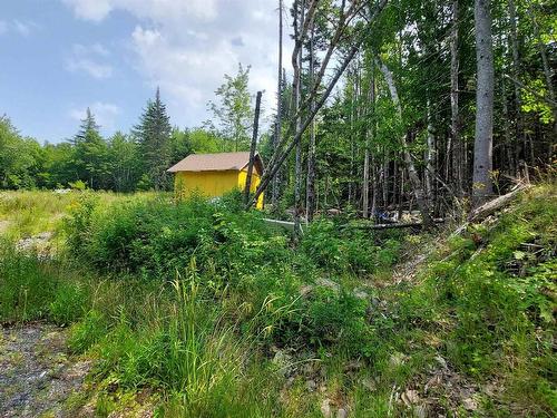 75 Evanston Rd, Cleveland, NS 