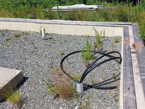 75 Evanston Rd, Cleveland, NS 