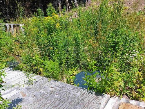 75 Evanston Rd, Cleveland, NS 