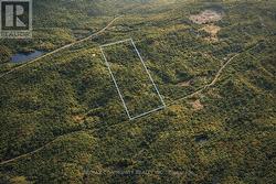 12 CON 22 CARDIFF CONCESSION Highlands East, ON K0L 3C0