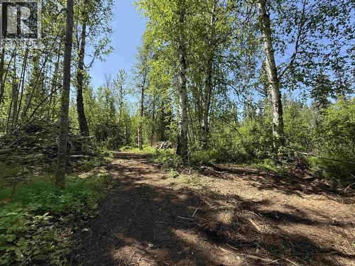 24151 River Road, Smithers, BC - Outdoor With View