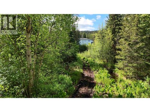 24151 River Road, Smithers, BC - Outdoor