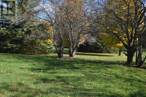 3400 Cedar Springs Road, Burlington, ON - Outdoor