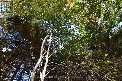 3400 Cedar Springs Road, Burlington, ON - Outdoor