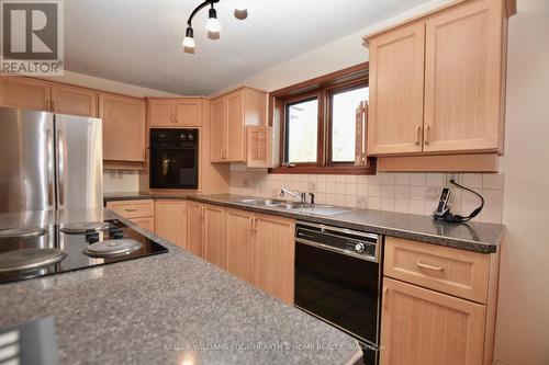 3400 Cedar Springs Road, Burlington, ON - Indoor Photo Showing Kitchen With Double Sink