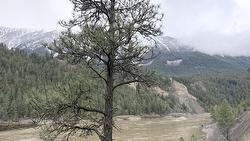 5667 Highway 12 Highway Lillooet, BC V0K 1V0