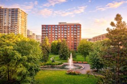 507-551 Rue de la Montagne  Montréal (Ville-Marie), QC H3C 6S4