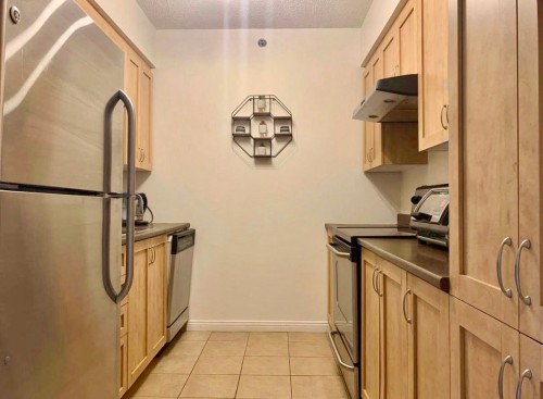 Kitchen - 507-551 Rue De La Montagne, Montréal (Ville-Marie), QC - Indoor Photo Showing Kitchen