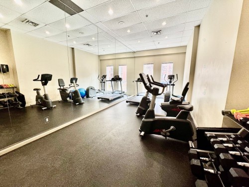 Exercise Room - 507-551 Rue De La Montagne, Montréal (Ville-Marie), QC - Indoor Photo Showing Gym Room