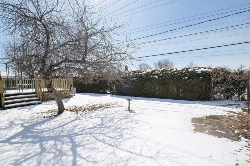 Cour - 6350 Rue Bourget, Brossard, QC - Outdoor