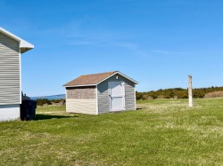 Shed - 
