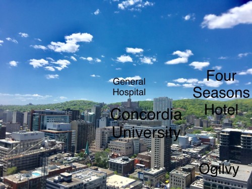 View - 3307-1155 Rue De La Montagne, Montréal (Ville-Marie), QC - Outdoor With View