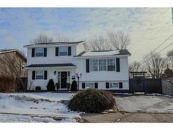 87 Stirling Crescent St. John's, NL A1A 4H9