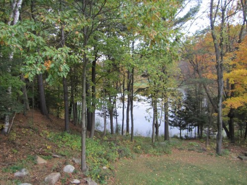 Extérieur - 428 Rue Brookside, Hudson, QC - Outdoor With View