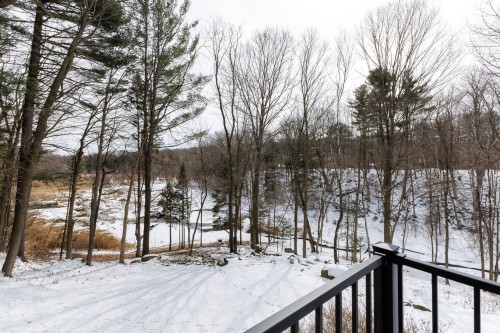 Balcon - 428 Rue Brookside, Hudson, QC - Outdoor With View