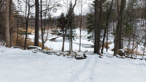 Cour - 428 Rue Brookside, Hudson, QC - Outdoor With View