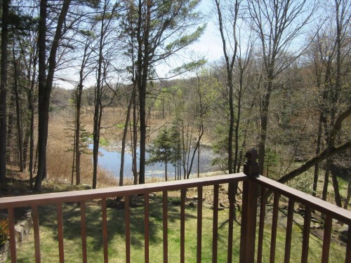 Balcon - 428 Rue Brookside, Hudson, QC - Outdoor With View