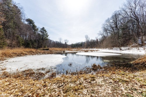 Autre - 428 Rue Brookside, Hudson, QC - Outdoor With View