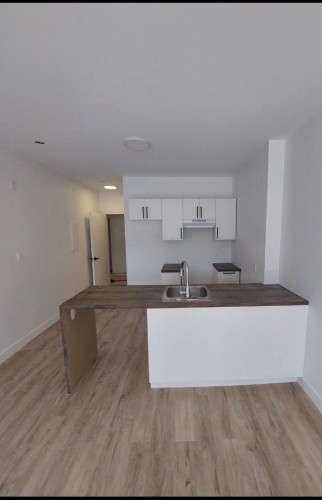 Kitchen - 101-2226 Boul. Henri-Bourassa E., Montréal (Ahuntsic-Cartierville), QC - Indoor