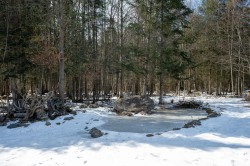 Terre/Terrain - 