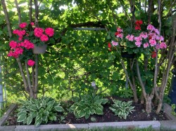 Courtyard - 