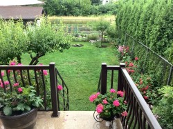 Courtyard - 