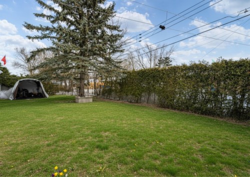 Cour - 79 Av. Hartford, Pointe-Claire, QC - Outdoor