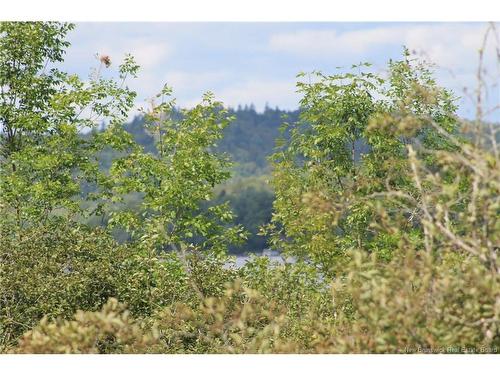 Lot Route 845, Kingston, NB 