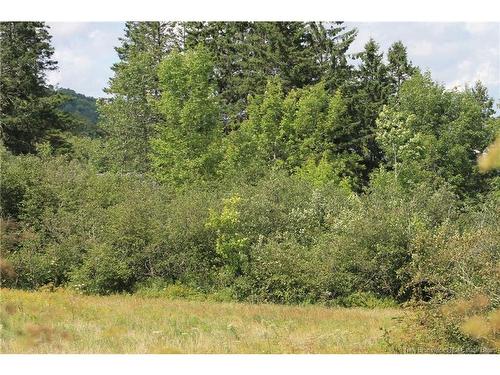 Lot Route 845, Kingston, NB 