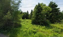 Lot Head North RD Pennfield, NB E5H 1X6