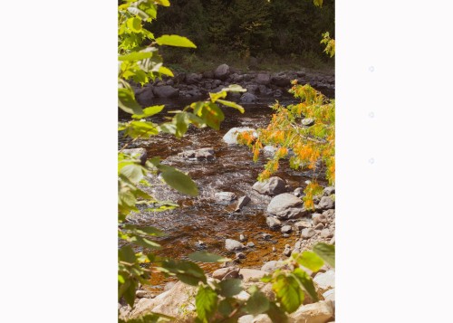 Exterior - 10 Ch. De La Rivière Nord, Saint-Onésime-D'Ixworth, QC - Outdoor
