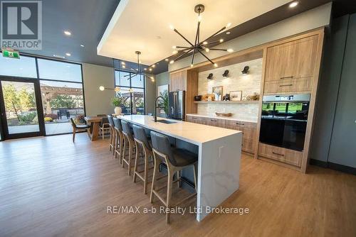 809 - 14 Harvest Avenue, Tillsonburg, ON - Indoor Photo Showing Kitchen