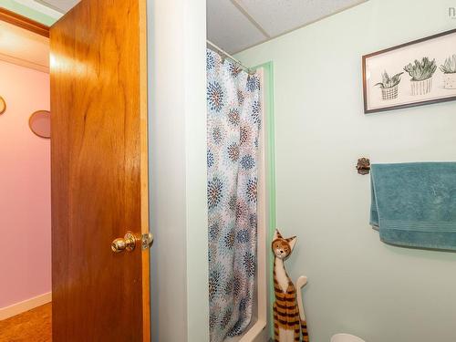 54 Riverview Drive, Bridgetown, NS 