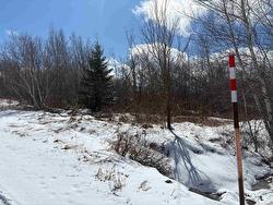 Lot - Oak Street  Trenton, NS B0K 1X0