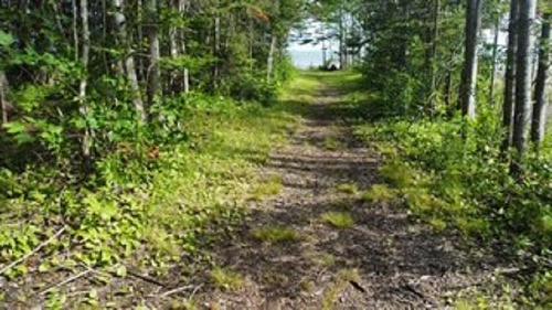 08-2 Malagash Road, Malagash Point, NS 