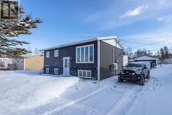 17 Bishop Avenue Pasadena, NL A0L 1K0