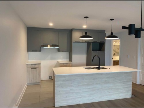 Kitchen - 101-460 Rue Lewis O., Waterloo, QC - Indoor Photo Showing Kitchen