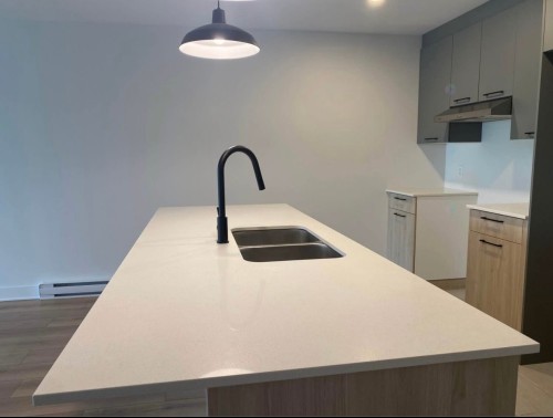 Kitchen - 101-460 Rue Lewis O., Waterloo, QC - Indoor Photo Showing Kitchen With Double Sink