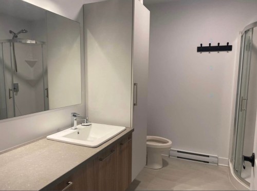 Bathroom - 101-460 Rue Lewis O., Waterloo, QC - Indoor Photo Showing Bathroom