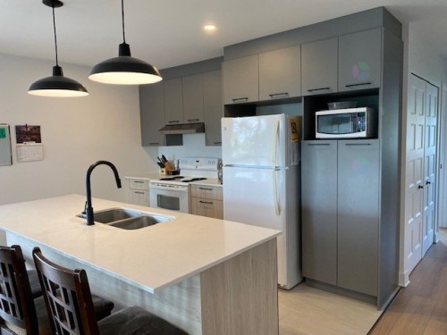 Kitchen - 302-460 Rue Lewis O., Waterloo, QC - Indoor Photo Showing Kitchen With Double Sink