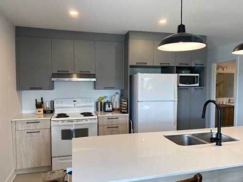 Kitchen - 302-460 Rue Lewis O., Waterloo, QC - Indoor Photo Showing Kitchen With Double Sink