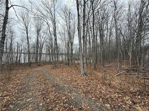 958 Route 710, Codys, NB 