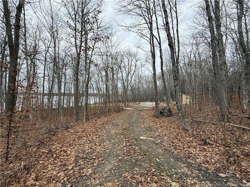 958 Route 710, Codys, NB 