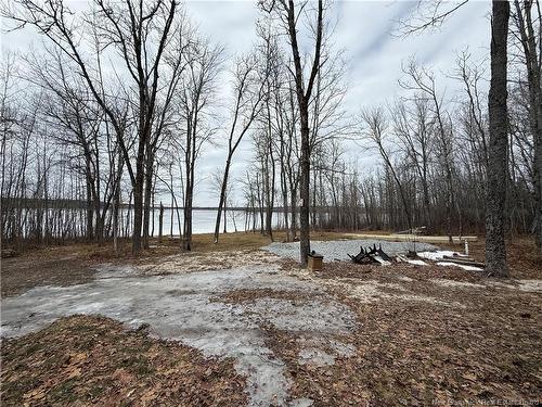 958 Route 710, Codys, NB 