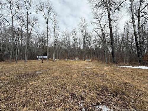 958 Route 710, Codys, NB 