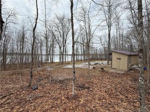 958 Route 710, Codys, NB 