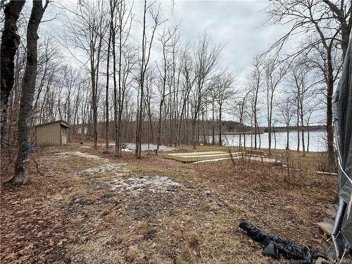 958 Route 710, Codys, NB 