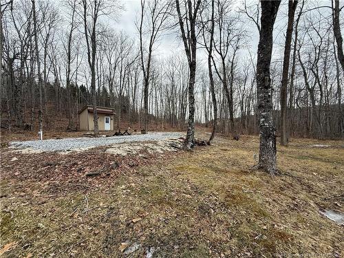 958 Route 710, Codys, NB 